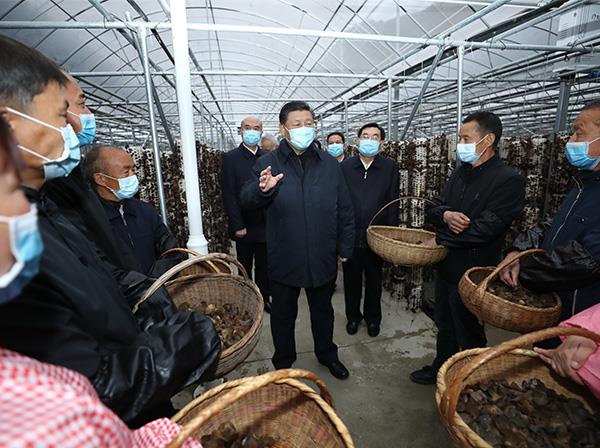 习近平总书记考察mk体育援建的金米村智能连栋木耳大棚