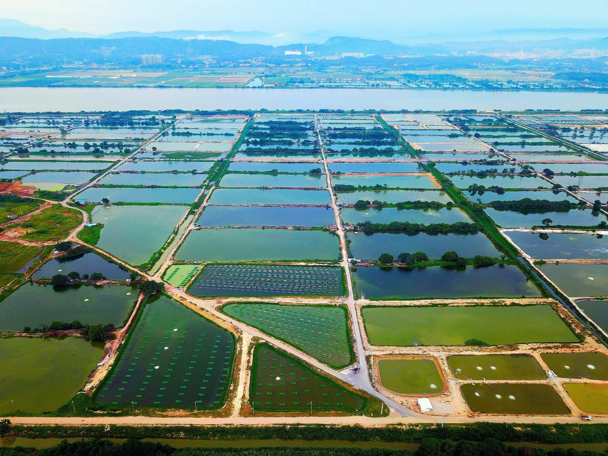 世界地球日：铁肩筑绿  匠心护蓝——mk体育的生态答卷（一）