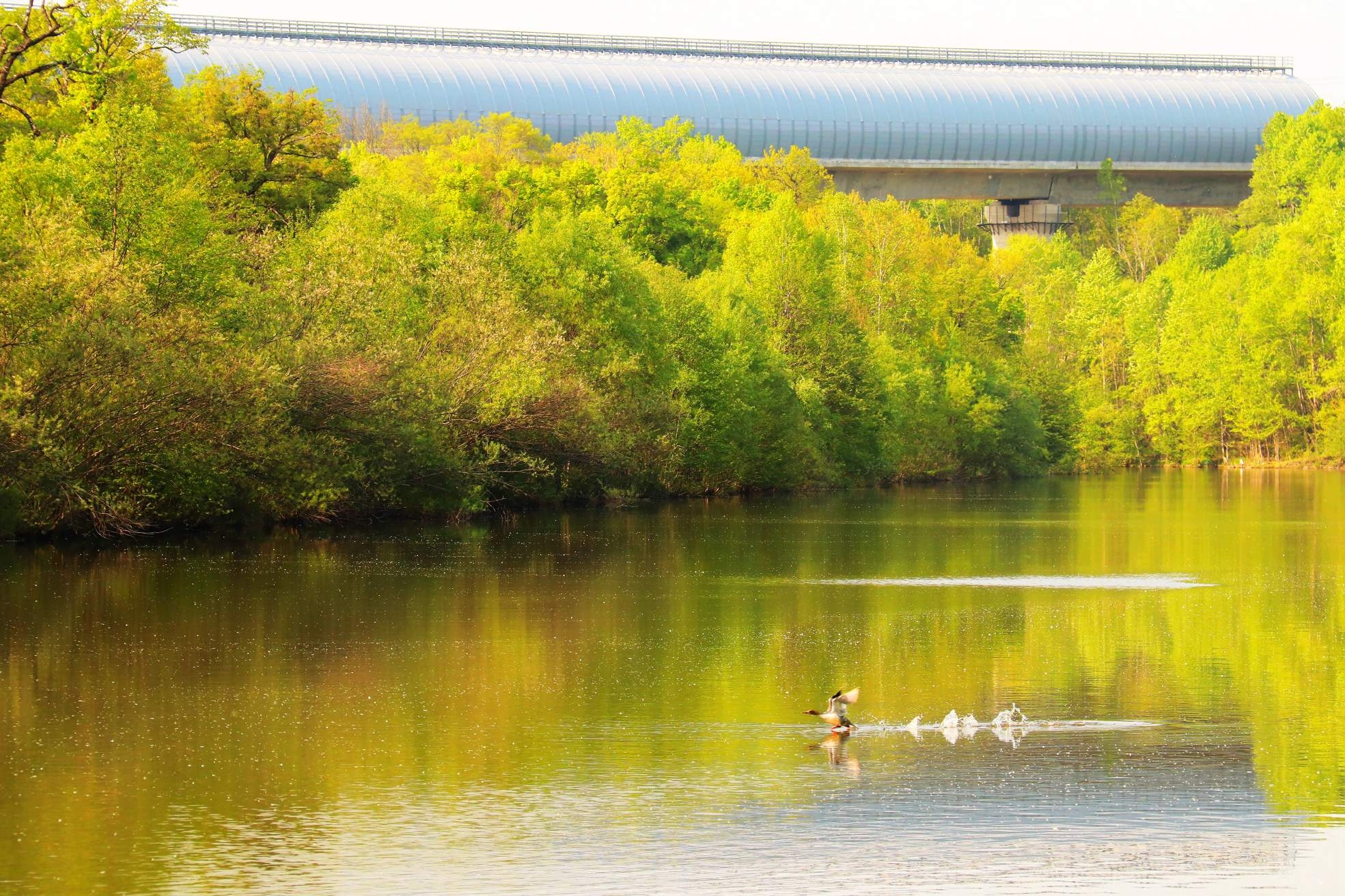 世界地球日：铁肩筑绿 匠心护蓝——mk体育的生态答卷（二）